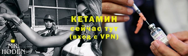 сатива Тобольск