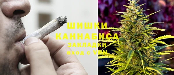 сатива Тобольск